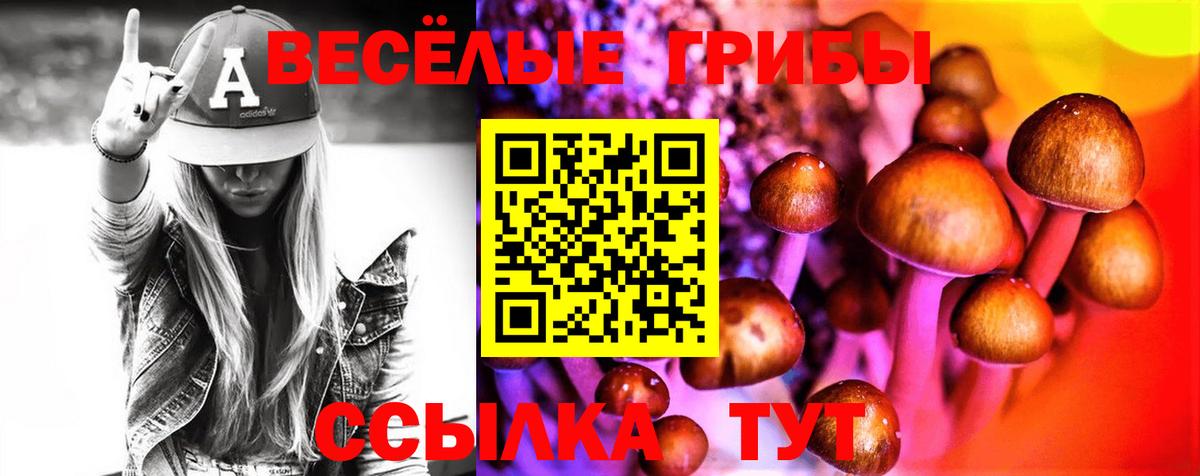 Псилоцибиновые грибы Psilocybine cubensis Дербент