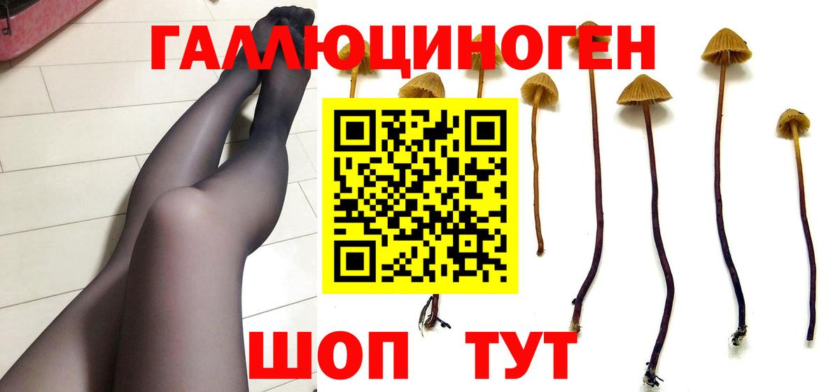 Псилоцибиновые грибы GOLDEN TEACHER  Псилоцибиновые грибы MAGIC MUSHROOMS  Вход с VPN  Дербент 